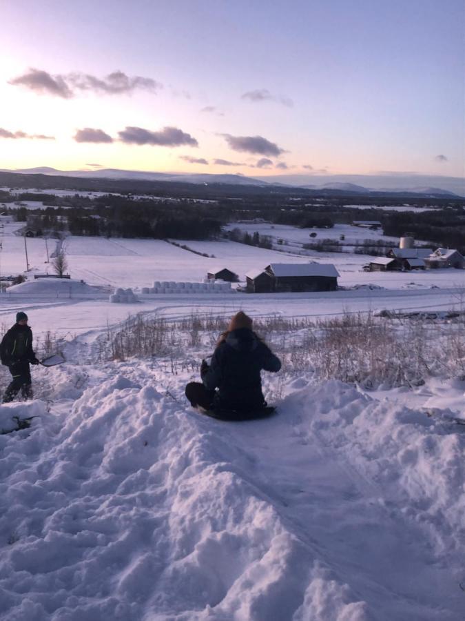Fin Laegenhet I Centrala Oviken, Mellan Fjaell&Stad Bagian luar foto